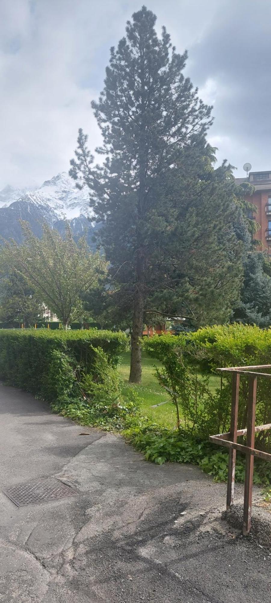 Il Mughetto Lejlighed Aosta Eksteriør billede